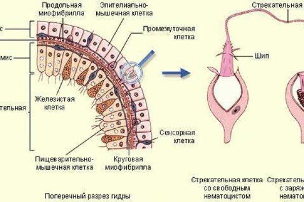 Проверенная ссылка кракен