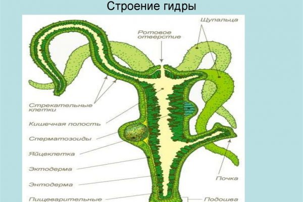 Даркнет каталог