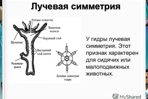 Ссылки на кракен маркетплейс